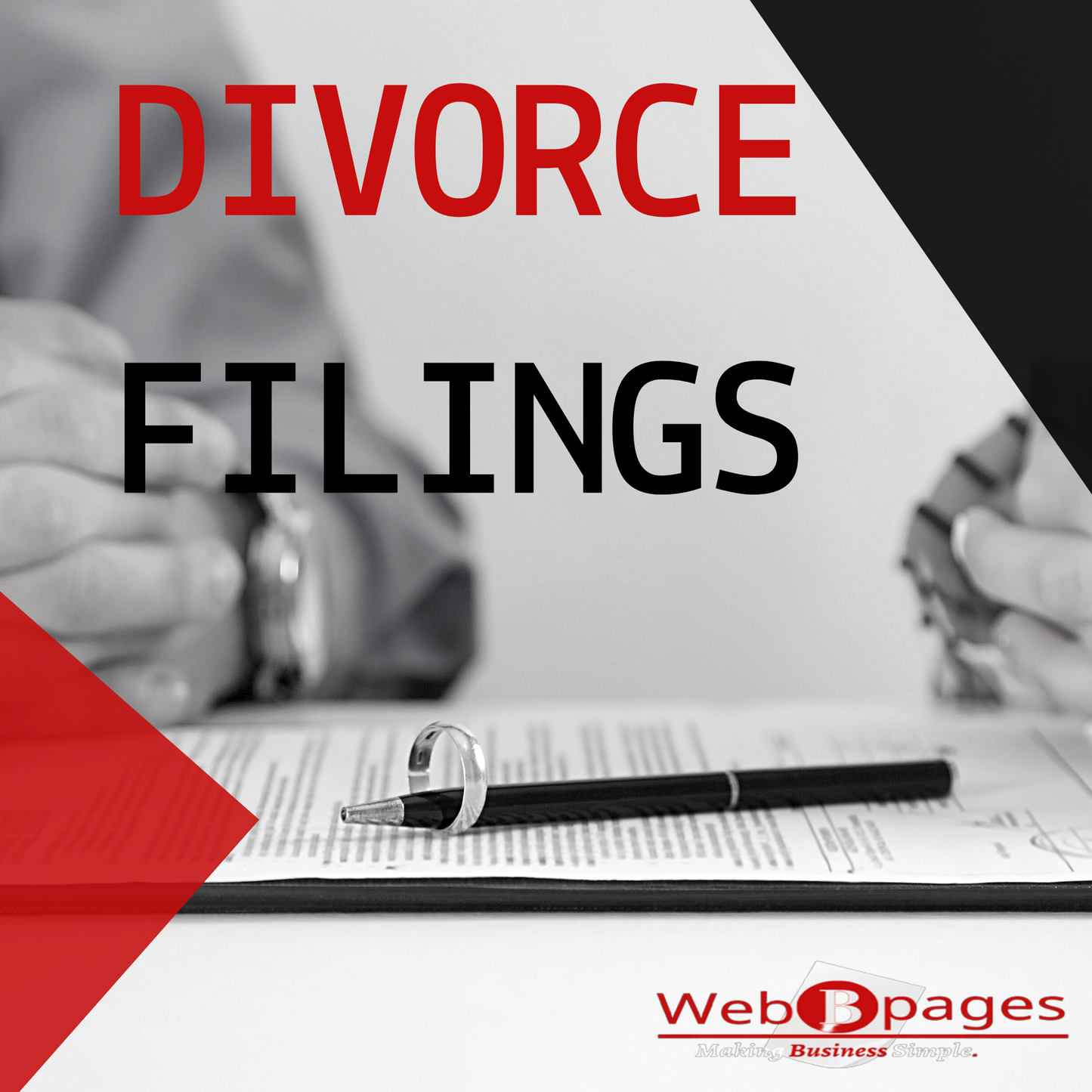 Divorce Filing (Document)